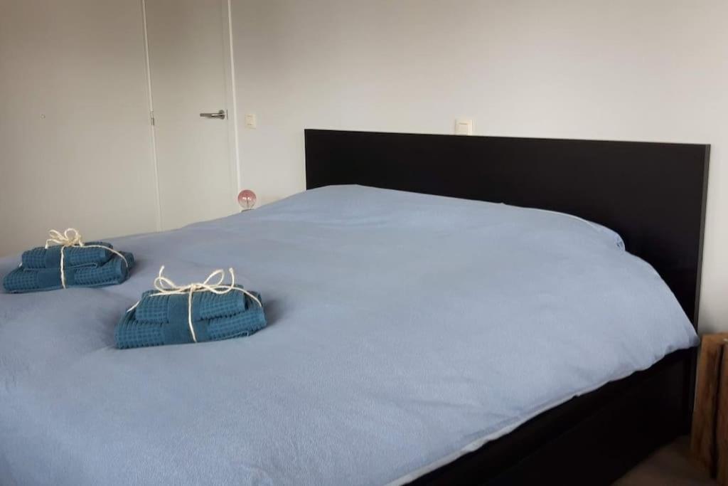 Momaison Charmant Landelijk Appartement Knesselare Kültér fotó